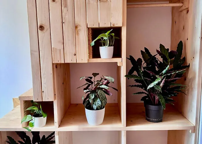 Appartement Bohemian In Center Of Kazimierz District *