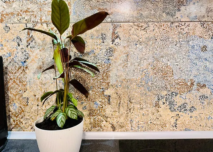 Bohemian In Center Of Kazimierz District